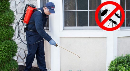 Torbalı Kene İlaçlama böcek ilaçlama ve haşere kontrolü — ilaclama-tr.com